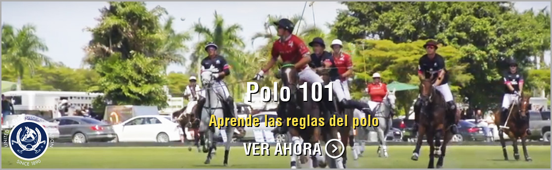 Polo 101