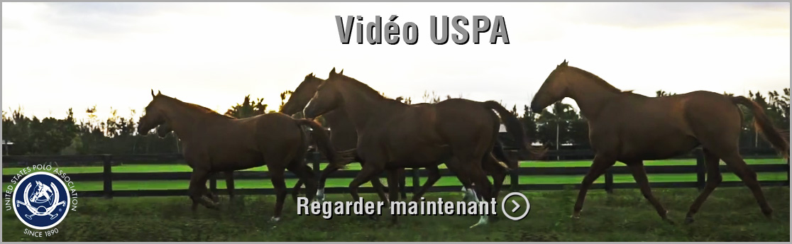 USPA Flat Out Video
