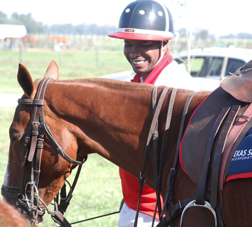 Jamie Demericas Tacking Up